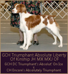 GCH Triumphant Absolute Liberty At Kinship JH